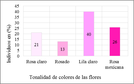 Segundo periodo de floración