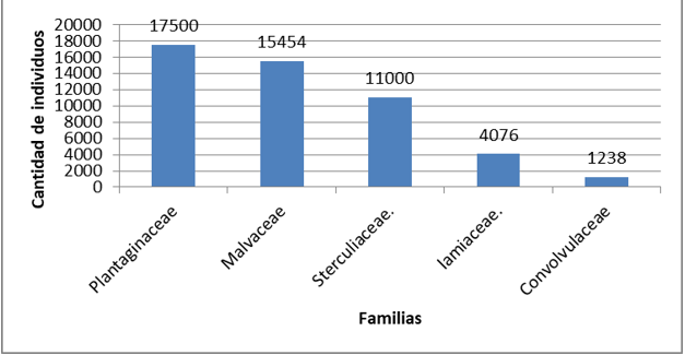 Familias de hierbas más dominantes