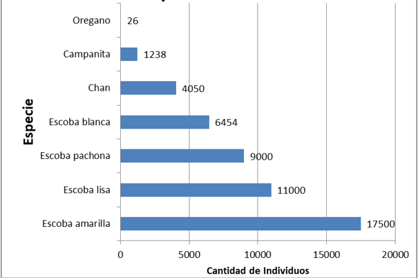 Especies de hierbas de mayor abundancia