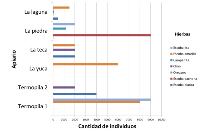 Especies de hierbas dominantes por apiario