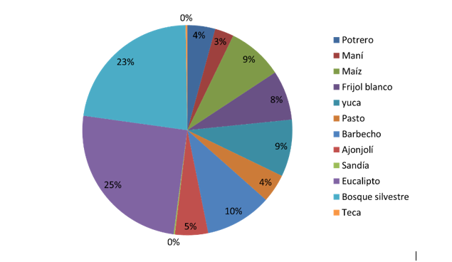 Distribución del uso de la tierra en el apiario la Teca