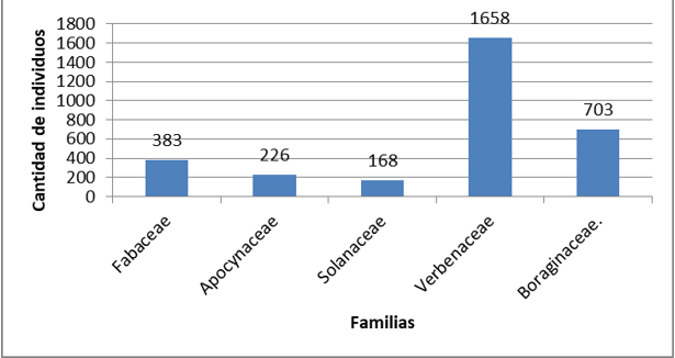 Familias de arbustos más dominantes