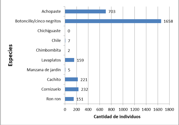 Especies arbustivas más abundantes