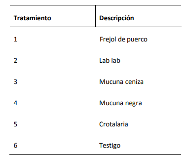 Descripci&oacute;n de los tratamientos
