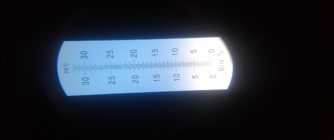Lectura de grados Brix de la mezcla gelatinizada de almid&oacute;n
     termopl&aacute;stico.