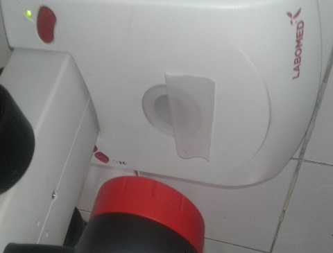 Observaci&oacute;n de las biopel&iacute;culas de almid&oacute;n de papa (Solanum
     tuberosum).