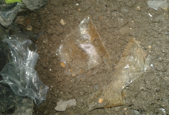 Comparaci&oacute;n de biodegradaci&oacute;n de almid&oacute;n termopl&aacute;stico sometido a
     medio de compostaje junto con pl&aacute;stico convencional.