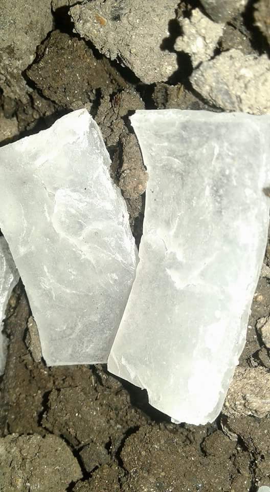 Muestra de almid&oacute;n termopl&aacute;stico de papa (Solanum tuberosum) r&iacute;gido
     obtenido por el bajo contenido de glicerol sometido a medio de compostaje.