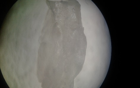 Deformaci&oacute;n de los almidones termopl&aacute;sticos obtenidos.