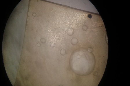 Presencia de aberturas en las biopel&iacute;culas por la generaci&oacute;n de
     burbujas durante el proceso de cocci&oacute;n.