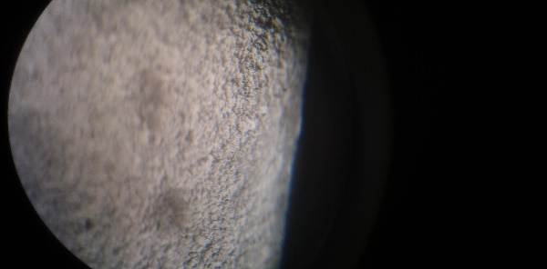 Estructura recristalizada de las biopel&iacute;culas de almidones
     termopl&aacute;sticos vista por el microscopio estereoscopio.     