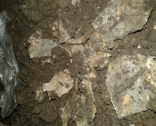 Prototipos atacados por microorganismos y descompuestos por la acci&oacute;n
     enzim&aacute;tica de estos y por el alto contenido de humedad.