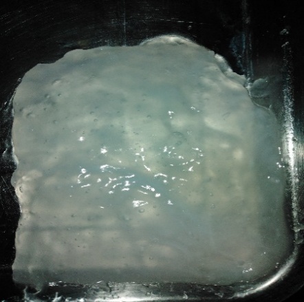 Mezcla gelatinizada de almid&oacute;n termopl&aacute;stico lista para moldearse en
     pel&iacute;cula.