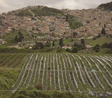 Frontera rural-urbana en la vereda Los Soches, Usme