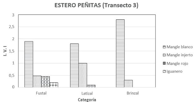 Análisis por Categoría para las especies más
importantes del transepto 3.