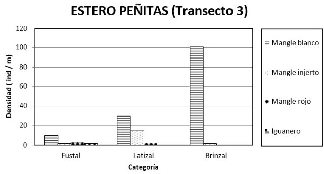 Ídem análisis categoría de la Densidad para las
especies más importantes en el transepto