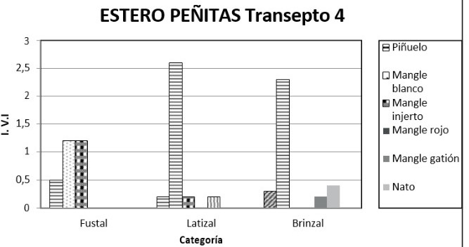 Ídem, análisis por categoría
de la Densidad para las especies más importantes en el transepto

 