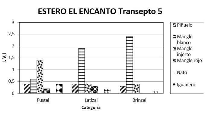 Análisis por Categoría para las especies más
importantes del transepto 5.