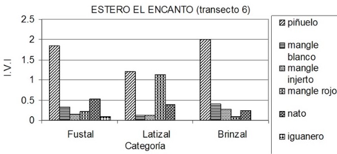Análisis por Categoría para las especies más
importantes del transecto 6.