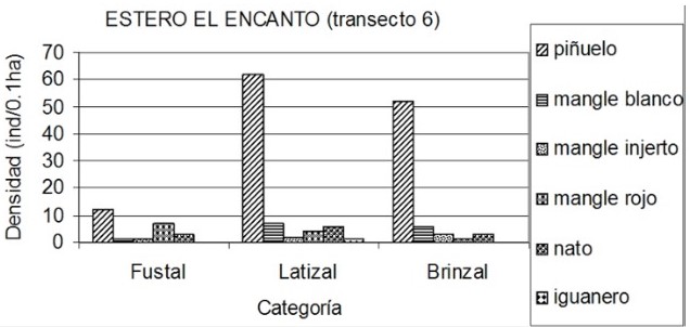 Análisis por categoría de la Densidad para las especies más
importantes en el transecto 6.

 