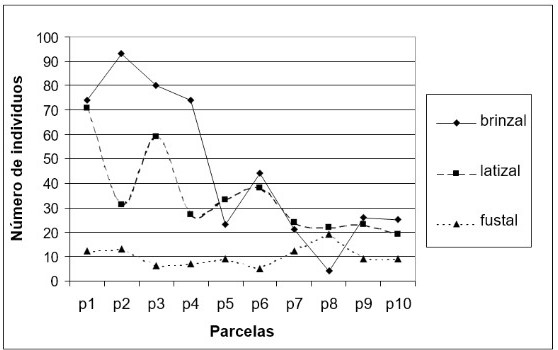 Variación del número total de
individuos de las distintas categorías diamétricas en cada una de las parcelas
de todos los transeptos.