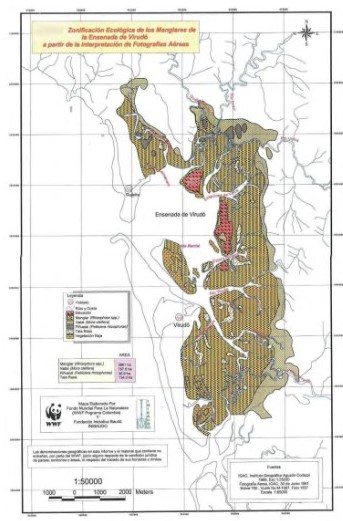 Zonificación ecológica de los manglares de la ensenada de Virudó