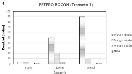 Análisis por categoría de la Densidad para las especies más
importantes en el transepto 1.