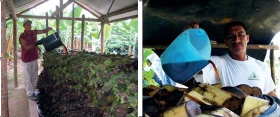 A la izquierda, ramada para producción de
lixiviado en la finca La Aguilita (Quindío); A la derecha, producción de
lixiviado en fincas de pequeños agricultores