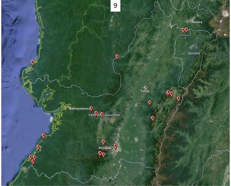 Figura 9. Lugares de principales expediciones de José Cuatrecasas Arumi
en el Valle del Cauca