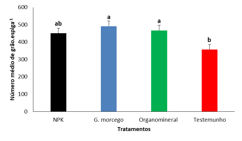 Número médio de grãos por espiga, em função da aplicação de
fertilizantes orgânicos, minerais e organominerais. NPK: adubo mineral
(12-24-12); G. morcego: adubo orgânico (guano de morcego); Organomineral: adubo
organomineral (NPK + guano de morcego); Testemunho (plantas isentas de
adubação). As barras de erro representam o erro padrão. Barras com letras
iguais não apresentam diferenças significativas no teste de Duncan teste (P> 0.05).