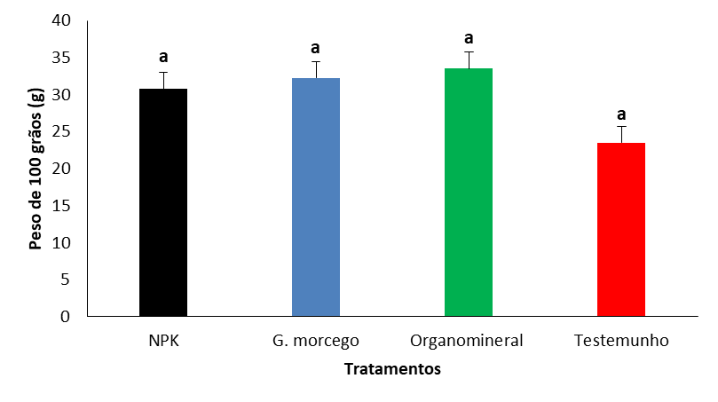 Peso de 100 grãos, em função da aplicação de fertilizantes orgânicos,
minerais e organominerais. NPK: adubo mineral (12-24-12); G. morcego: adubo orgânico
(guano de morcego); Organomineral: adubo organomineral (NPK + guano de
morcego); Testemunho (plantas isentas de adubação). As barras de erro
representam o erro padrão. Barras com letras iguais não apresentam diferenças
significativas no teste de Duncan (P> 0.05).