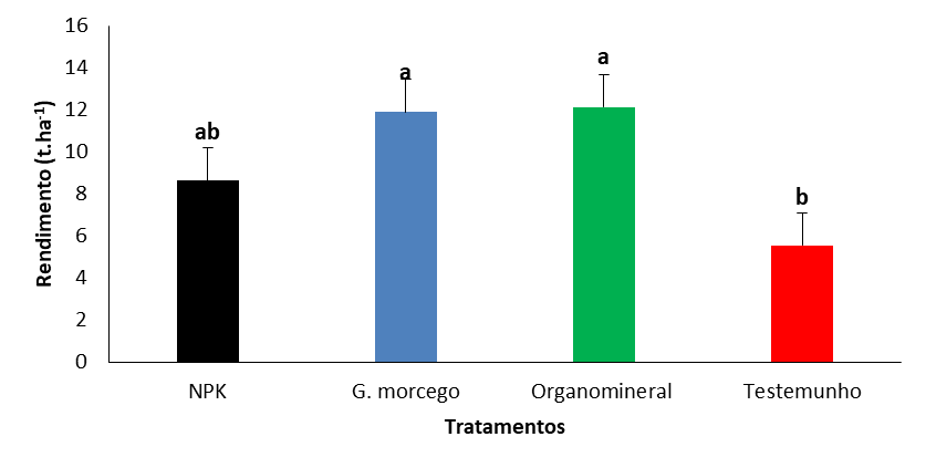 Rendimento (t.ha-1), em função da aplicação de fertilizantes
orgânicos, minerais. NPK: adubo mineral (12-24-12); G. morcego: adubo orgânico
(guano de morcego); Organomineral: adubo organomineral (NPK + guano de
morcego); Testemunho (plantas isentas de adubação). As barras de erro
representam o erro padrão. Barras com letras iguais não apresentam diferenças
significativas no teste de Duncan (P> 0.05).