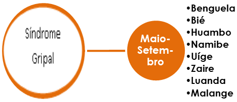 Períodos epidémicos do Síndrome Gripal por província.