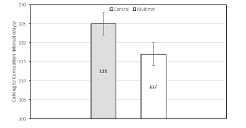 Calving to Conception Interval (days) in cows treated with ITM during
the dry period and Controls (Trial 1). Statistical tendency (P=0.14).