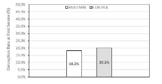 Conception Rate at First Service (%) in cows treated with ITM du- ring the postpartum period and controls (Trial 2). No statistical differences (P 

=0.75)