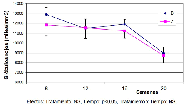 Evoluci&oacute;n
del n&uacute;mero de gl&oacute;bulos rojos en sangre de los corderos de ambos grupos
experimentales