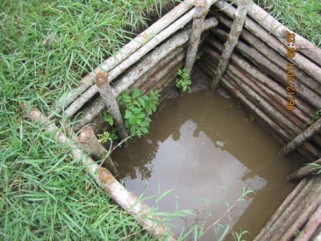  Inicio del retoño de material vegetal en cajas de
disipación y retención de agua lluvia.