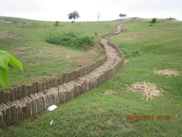 Tobogán vegetativo construido.