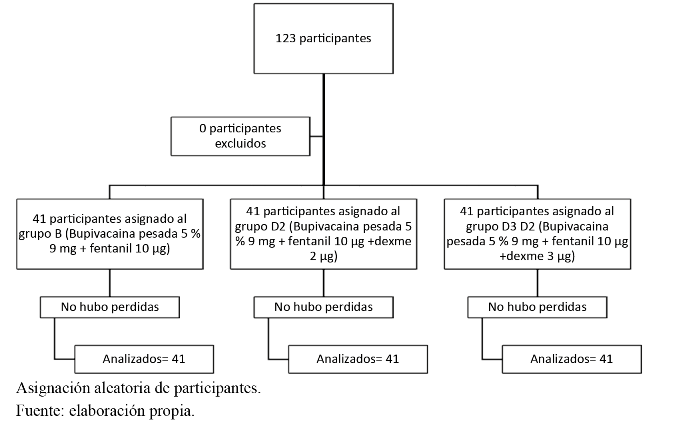 Flujo de participantes