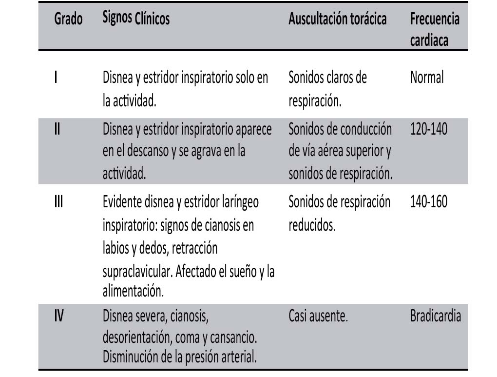 Criterios para determinar el grado
de obstrucción laríngea.