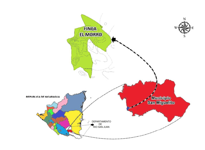 Ubicación de la finca
El Morro, San Miguelito, departamento de Río San Juan.