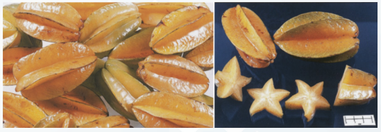 Detalle del fruto de Averrhoa carambola, “Carambola”, Familia Oxalidaceae