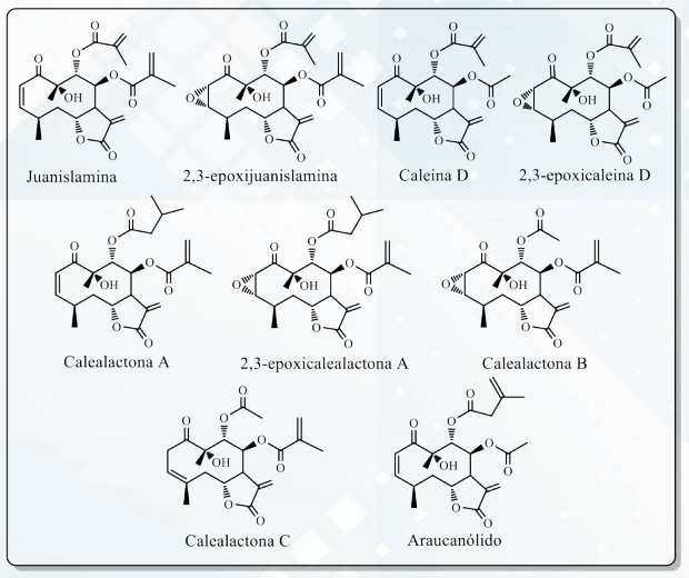 Sesquiterpenlactonas aisladas de Calea urticifolia