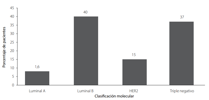 Frecuencia de subtipos moleculares determinados mediante inmunohistoquímica