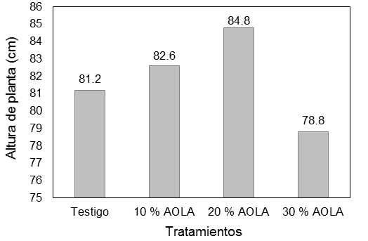 Efecto de tres niveles
de AOLA sobre la altura de planta de brócoli