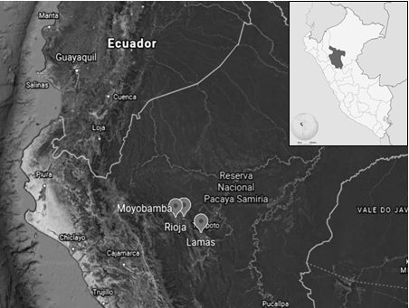  Ubicación de la zona del estudio en el departamento de San
Martín, Perú (Google Earth)