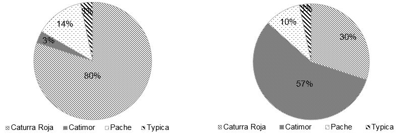 Variedades de café usadas por los productores convencionales en
los años 2011 (Izq.) y 2014 (Der.)