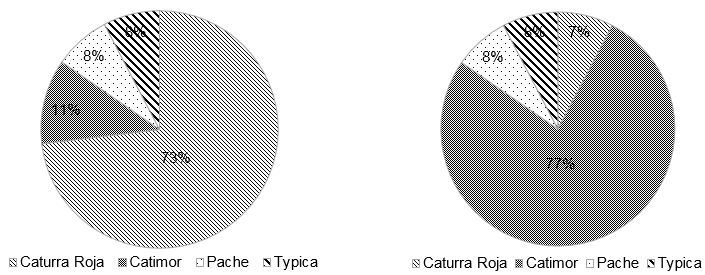 Variedades de café usadas por los productores orgánicos en los
años 2011 (Izq.) y 2014 (Der.)