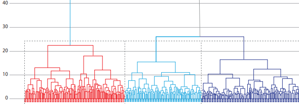 Conglomerados a partir de la interacción entre las variables