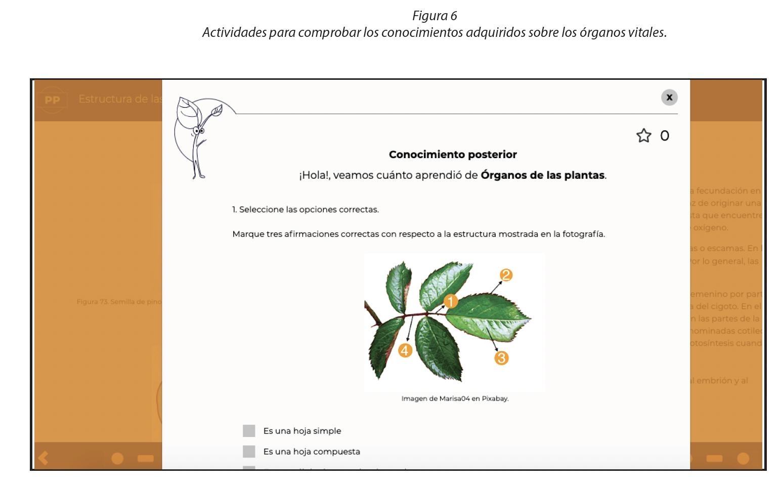 Actividades para comprobar los conocimientos adquiridos sobre los órganos vitales.
			
				
					
				
				
					
						
							
								
									Importar imagen
								
							
						
					
				
			Importar tabla
			